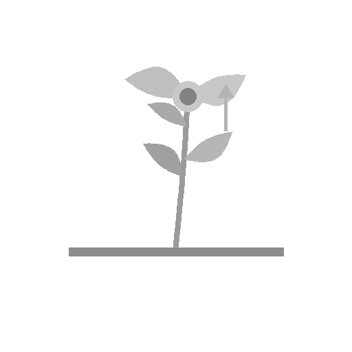 alcoholic wine private label Italy